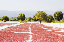 Load image into Gallery viewer, Sun-Dried Tomatoes